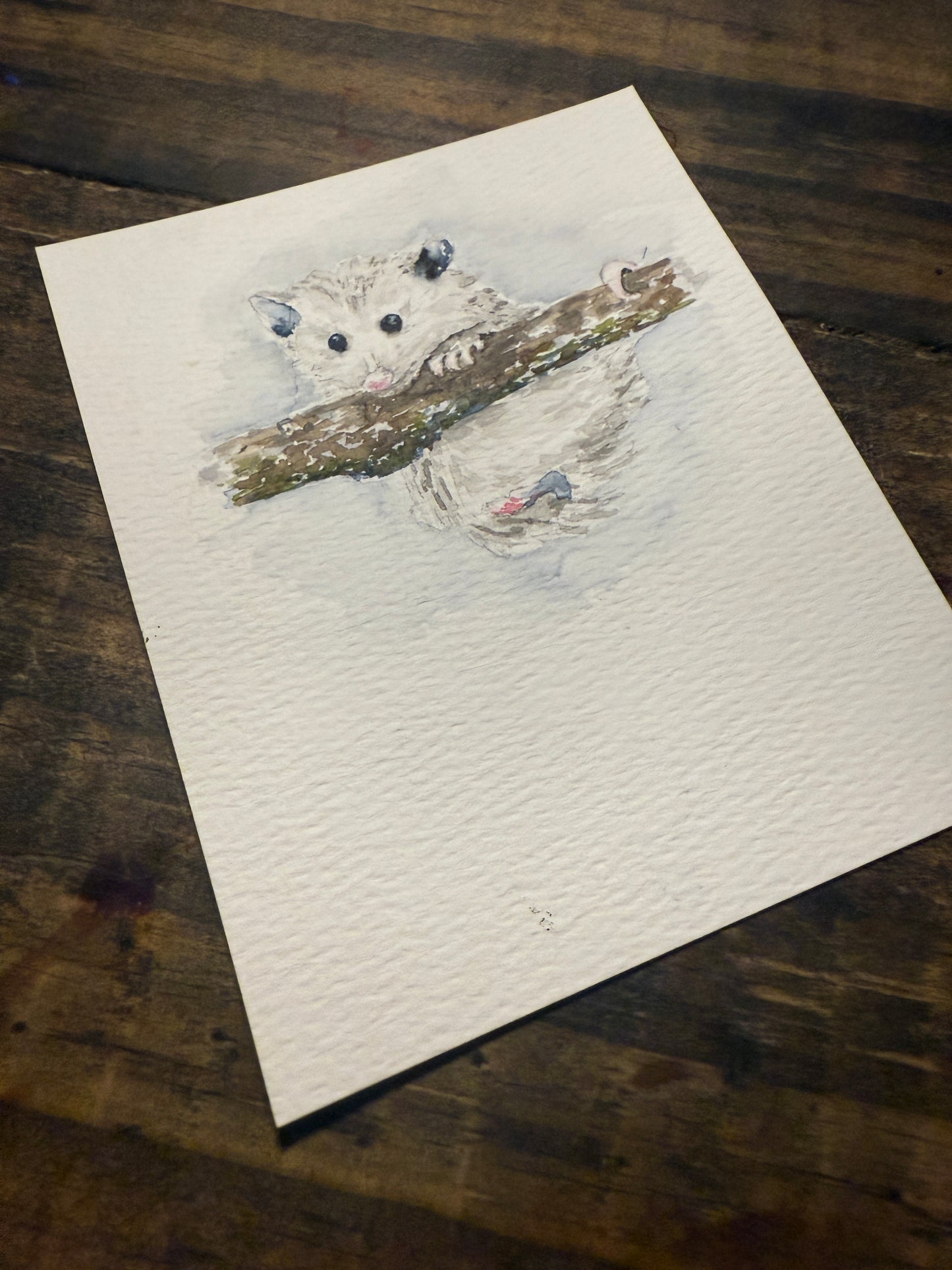 Anything is Opposum-able