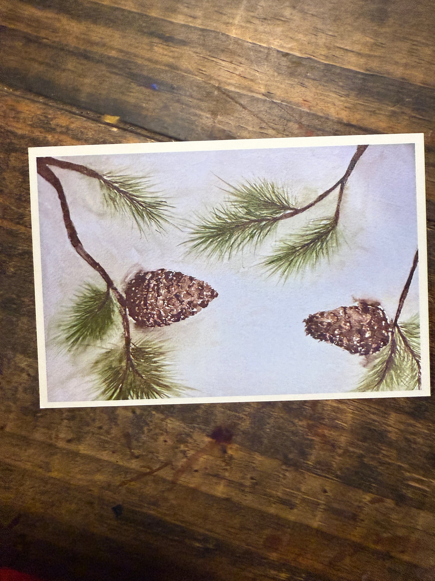 View Through the Trees Print