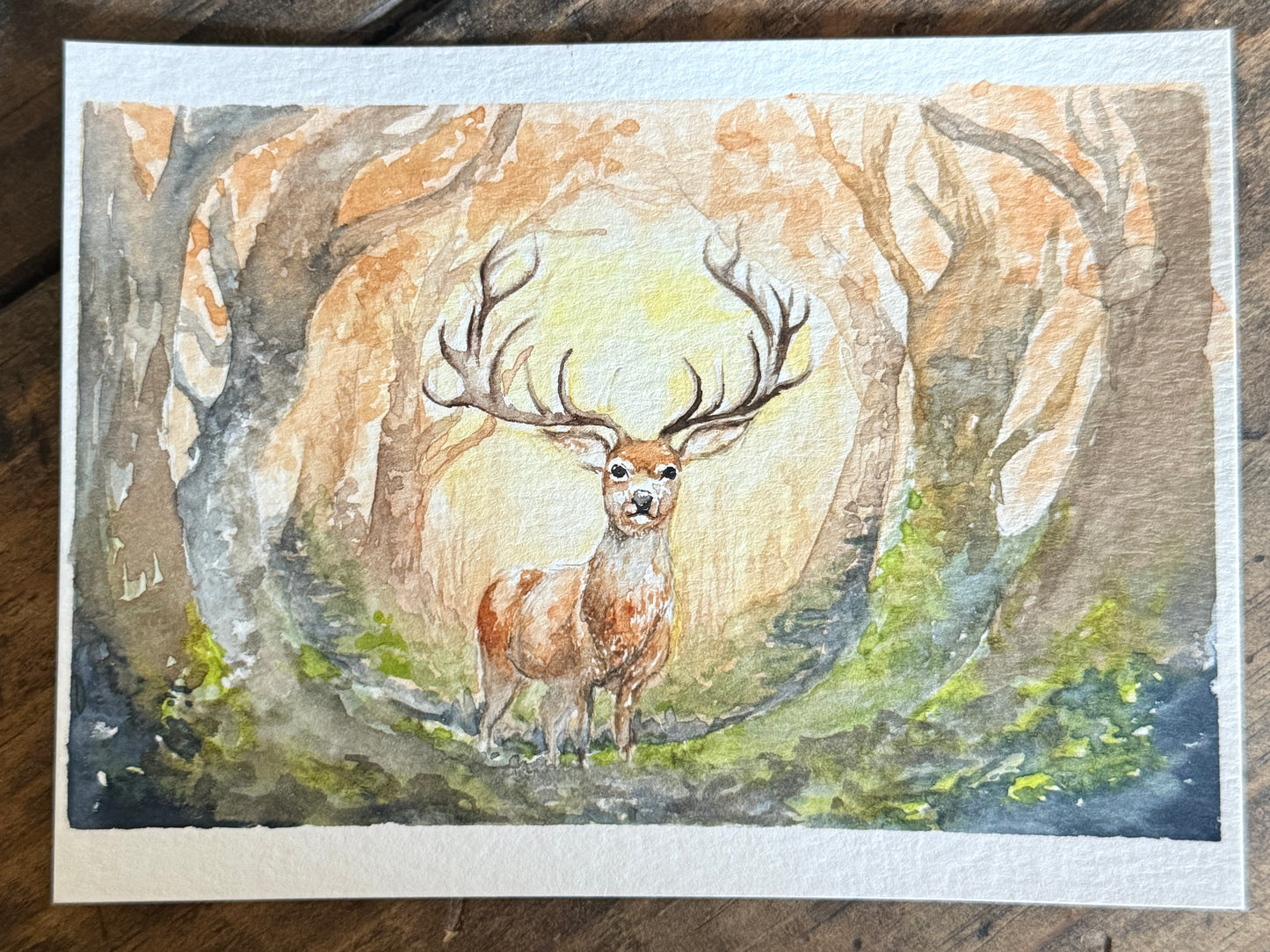 Deer Watercolor Original