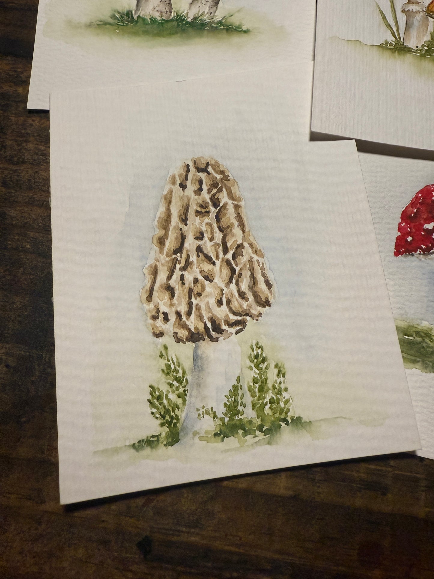 Morel Support