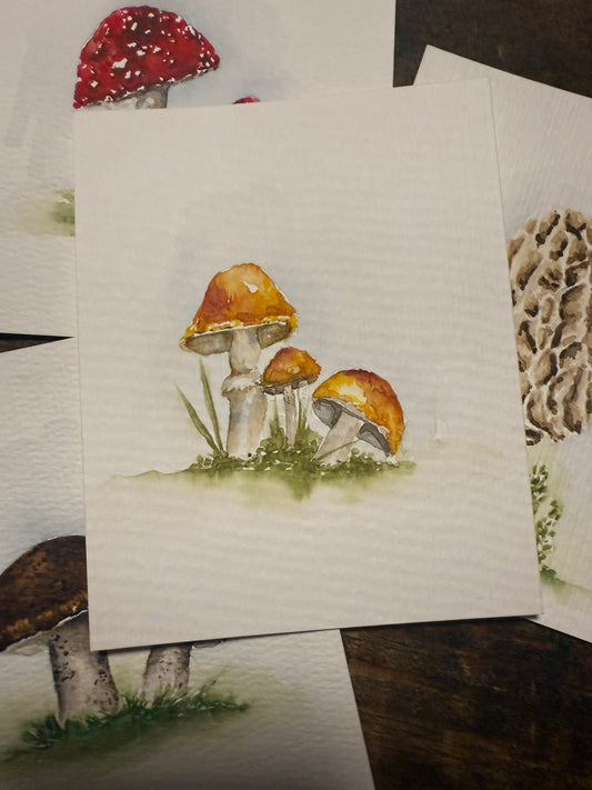 Spored out of My Mind