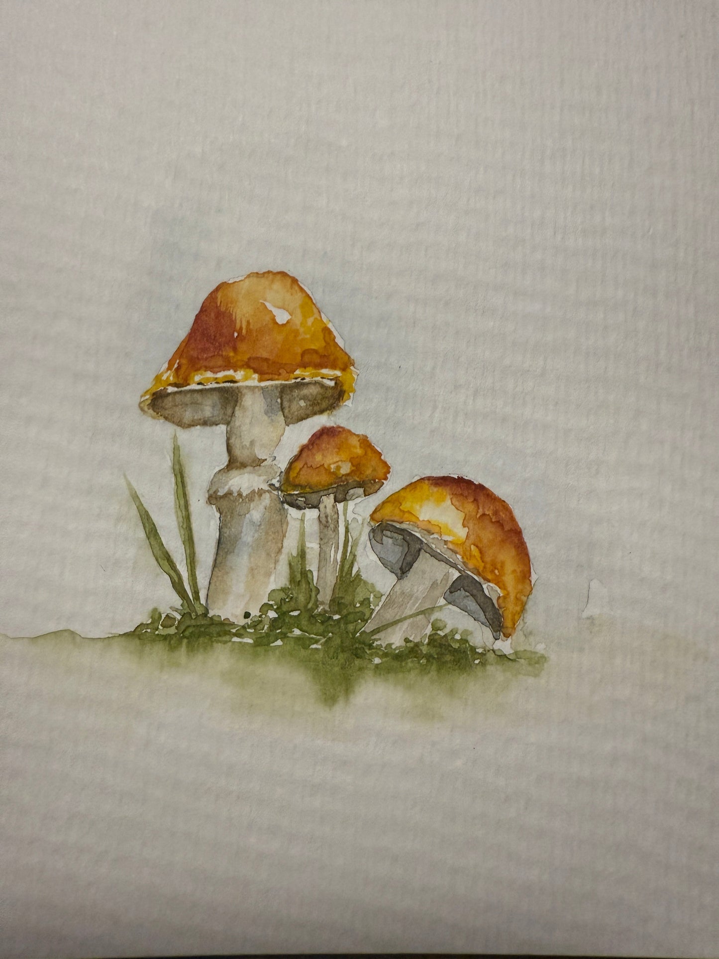 Spored out of My Mind