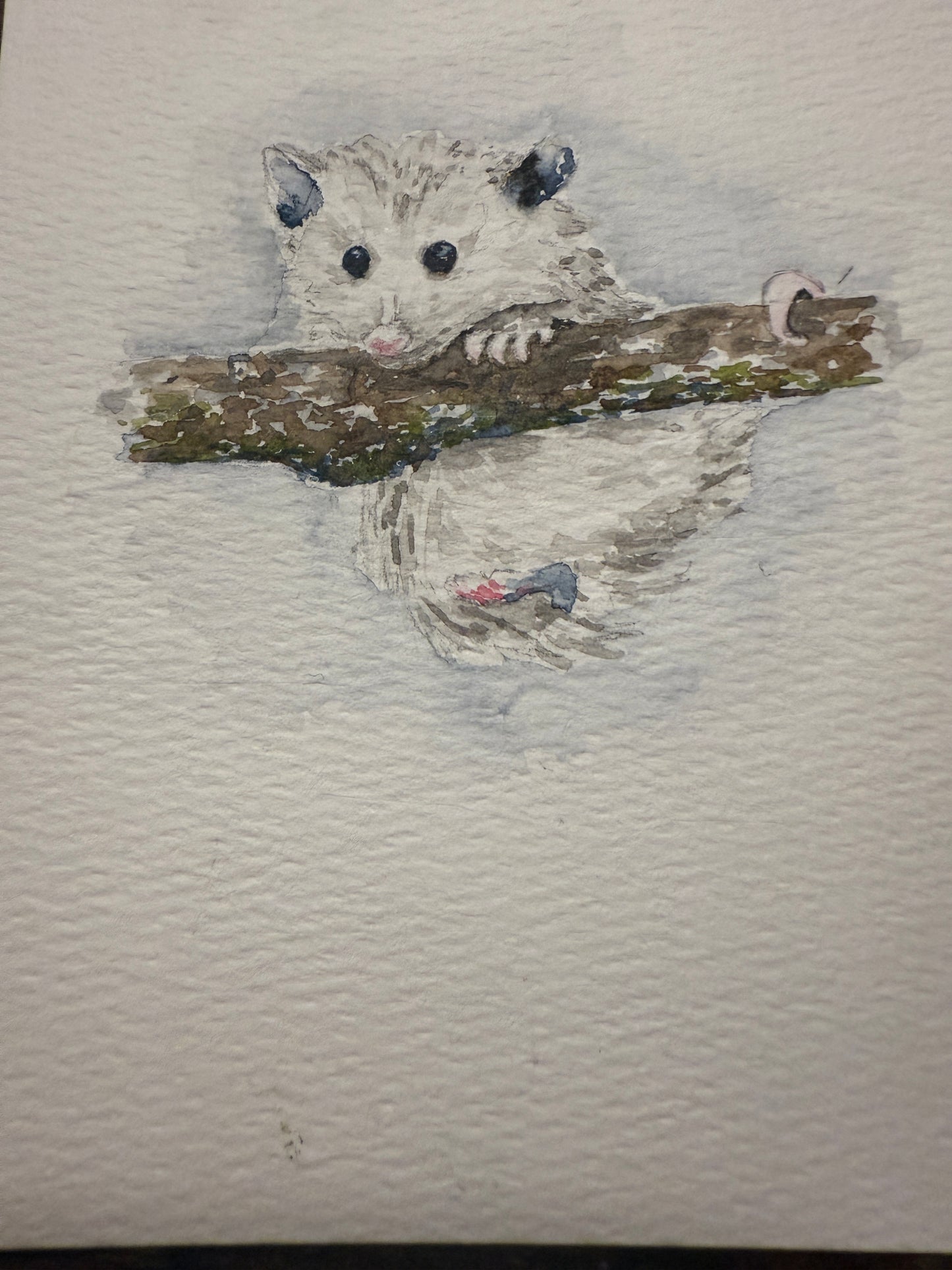 Anything is Opposum-able