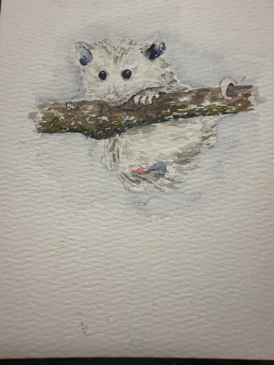Anything is Opposum-able