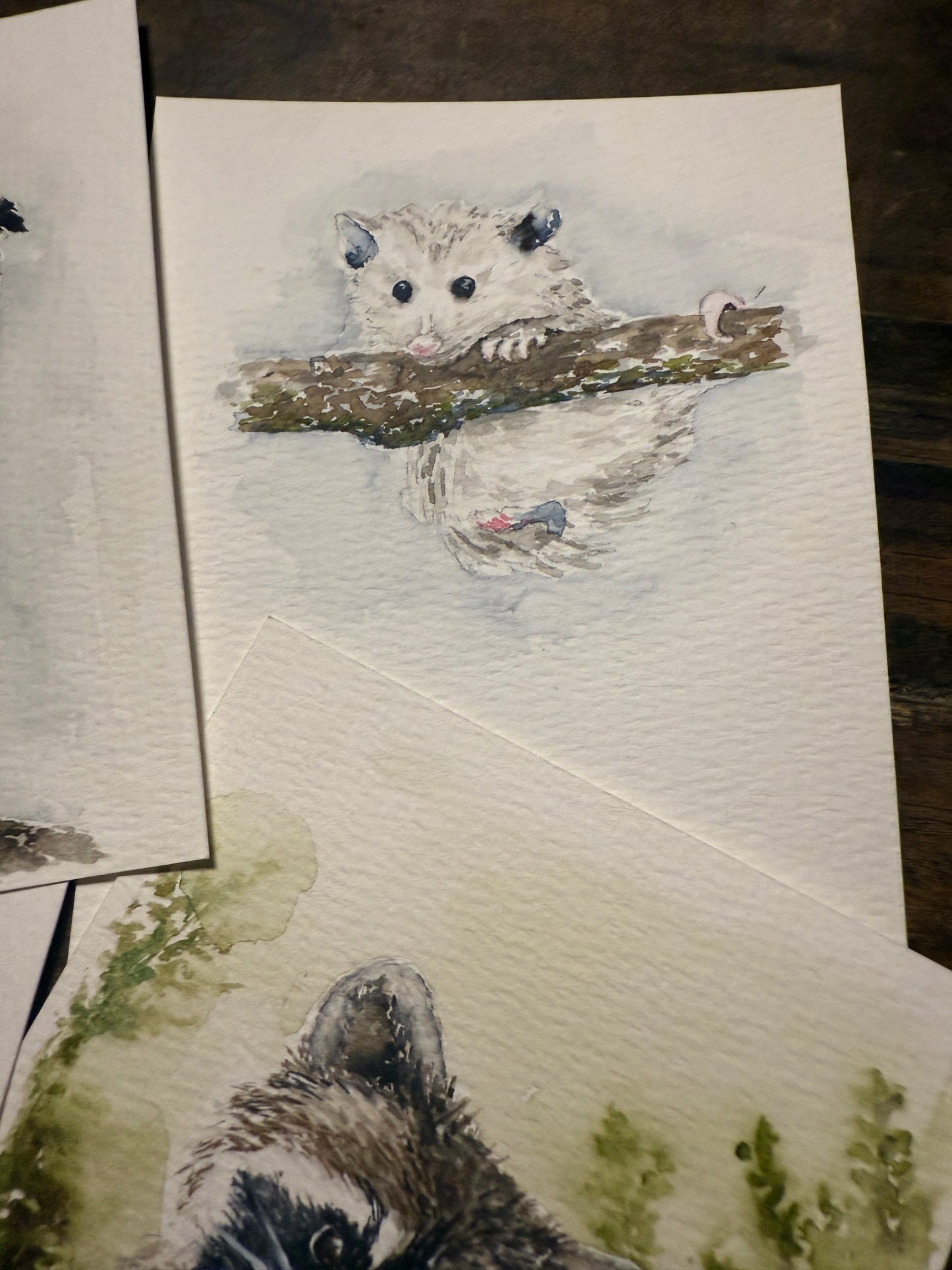 Anything is Opposum-able