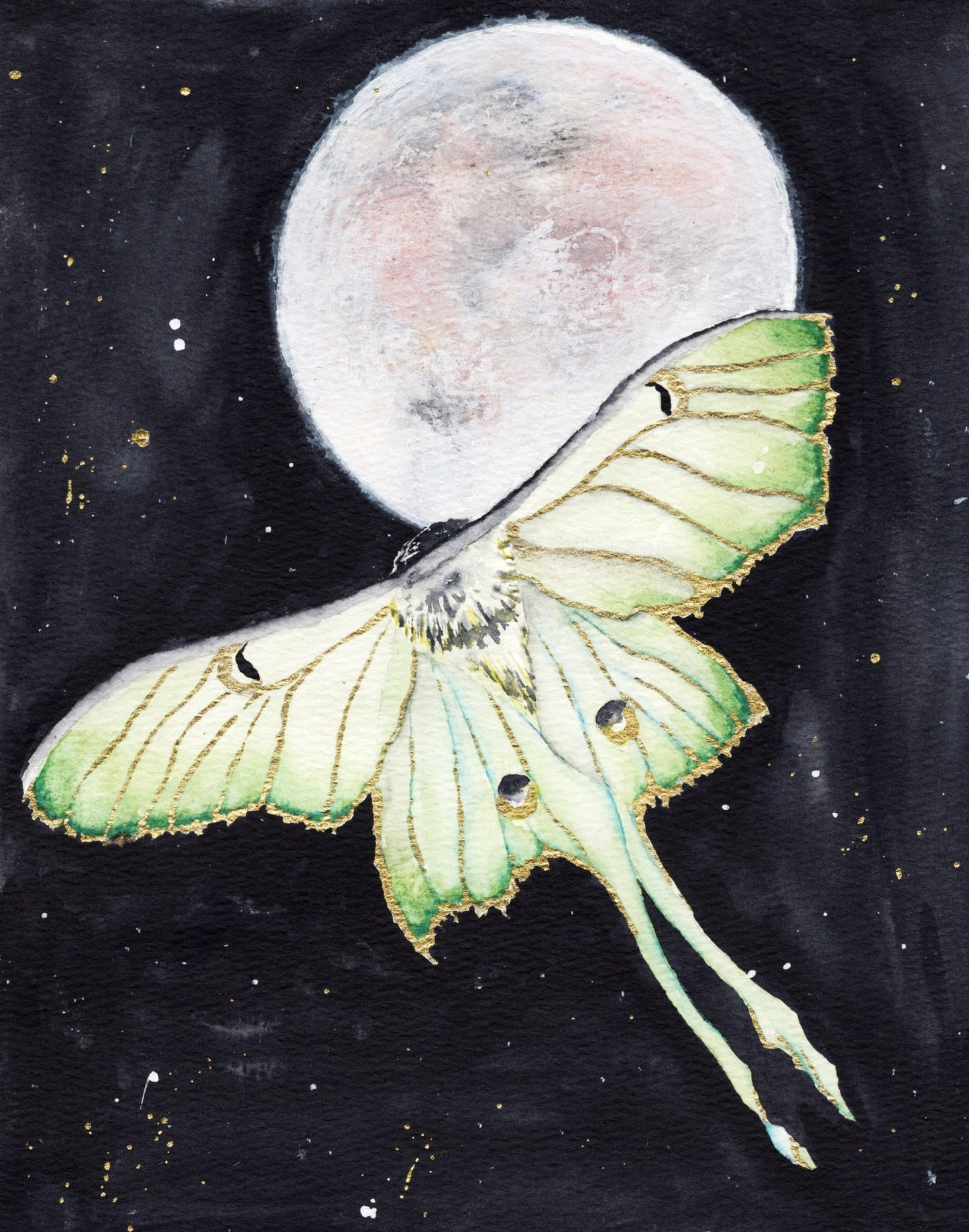 Full Moon Flight