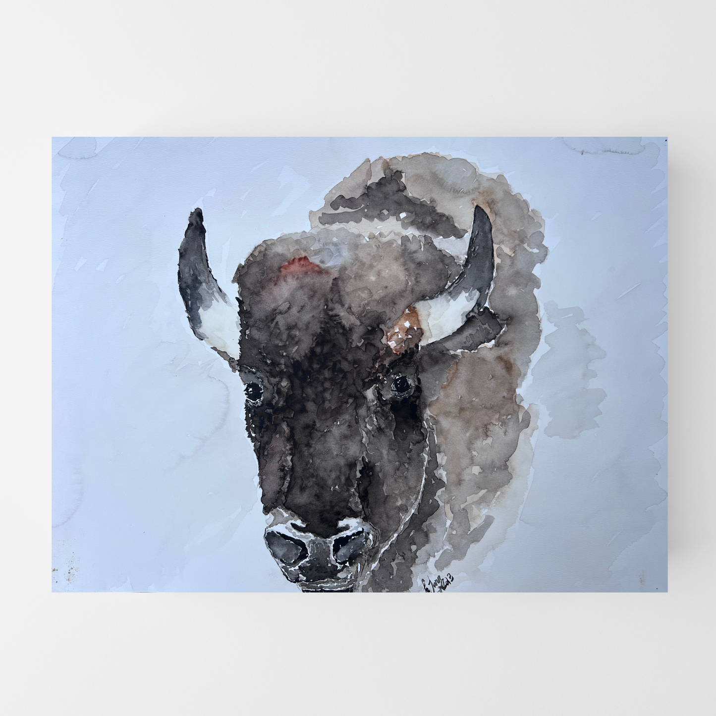 Buffalo