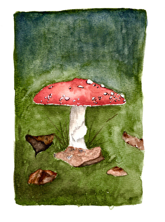Treasures of the Forest
